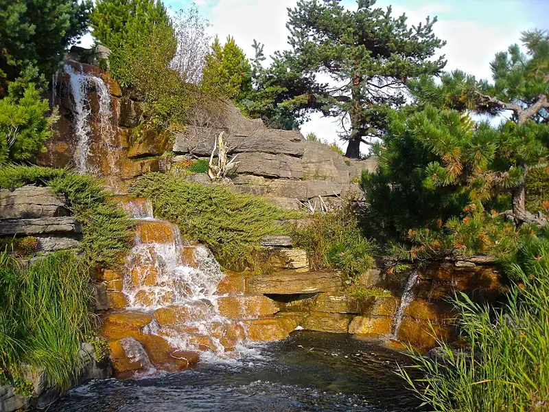 Alpine Garden