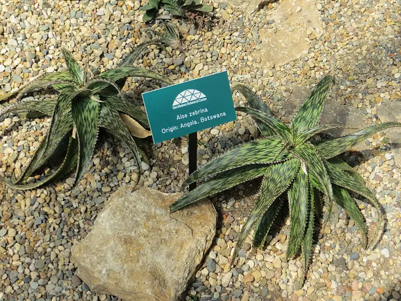 Des Moines Botanical Center