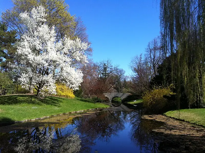 Dow Gardens