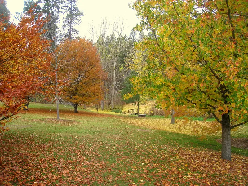 John A. Finch Arboretum