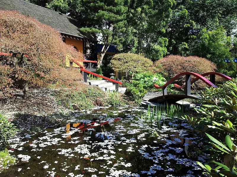 Park and Tilford Gardens
